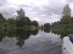 IMG_20170715_155517.jpg