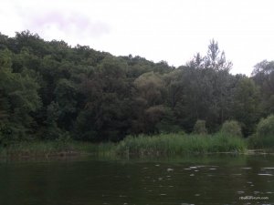 IMG_20170715_154120.jpg