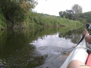 IMG_20170715_153319.jpg