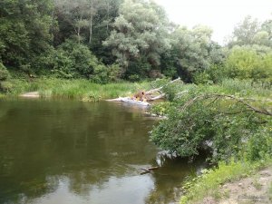 IMG_20170715_131716.jpg