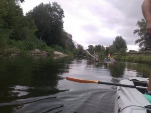 IMG_20170715_124726.jpg