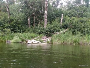IMG_20170715_124553.jpg