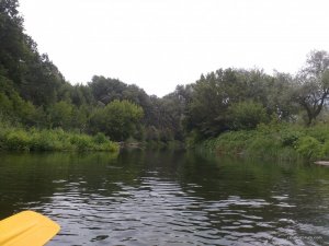 IMG_20170715_123328.jpg