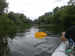IMG_20170715_123304.jpg