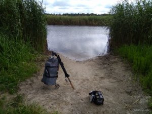 IMG_20170715_154743.jpg