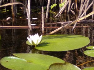 IMG_20170715_162914.jpg