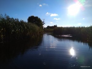 IMG_20170715_184519.jpg