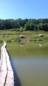 20170718_101748.jpg