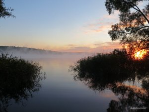 IMG_4170.JPG