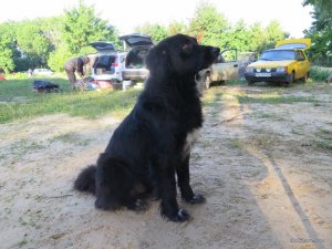 IMG_4202.JPG