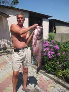 IMG_2143.JPG