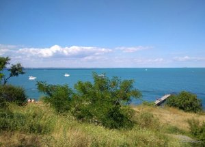 IMG_20170715_155949.jpg