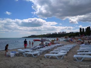IMG_20170714_143140.jpg