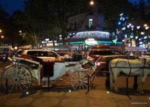 IMG_20170719_212042.jpg