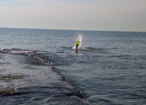 IMG_20170719_073517.jpg