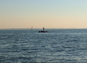IMG_20170719_064119.jpg