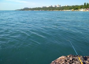 IMG_20170719_074941.jpg