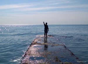 IMG_20170719_083213.jpg