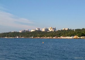 IMG_20170719_064135.jpg