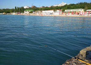 IMG_20170719_074951.jpg