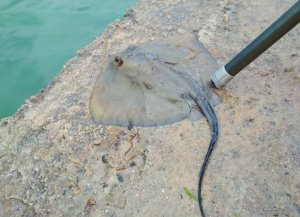 IMG_20170713_200711.jpg