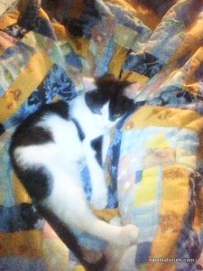 Photo0014.jpg