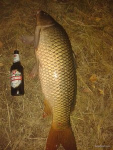 20170723_042704.jpg