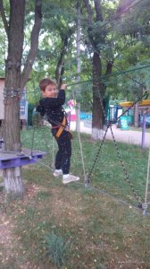 IMG_20170723_161751.jpg
