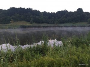 IMG_1198.JPG
