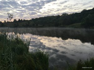 IMG_1199.JPG