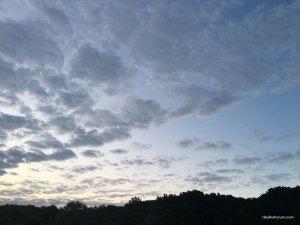 IMG_1200.JPG