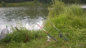 WP_20170723_001[1].jpg