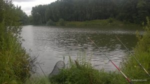 WP_20170723_002[1].jpg