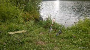 WP_20170723_006[1].jpg
