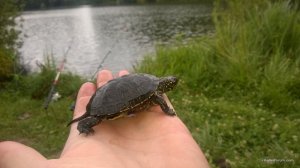 WP_20170723_007[1].jpg