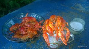 WP_20170717_005[1].jpg