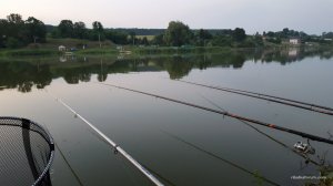 20170722_204929.jpg