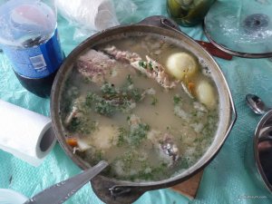 20170723_102548.jpg