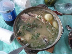 20170723_102550.jpg
