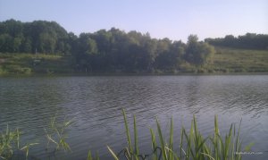 IMAG0132.jpg