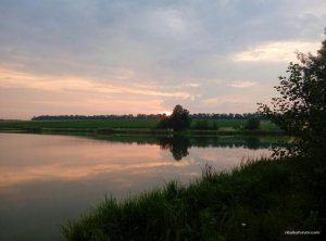 image-0-02-05-0bd66b7b51a84fadacd27d9a410e30d71c5a167437d2add1d4c164d204e987b6-V.jpg
