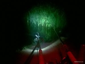 WP_20170729_00_37_02_Pro.jpg