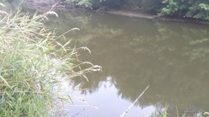 IMG_20170728_183644.jpg