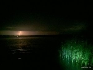 WP_20170729_01_49_00_Pro.jpg