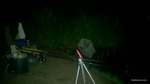 WP_20170729_03_26_11_Pro.jpg