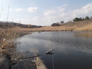 DSCF2917.JPG