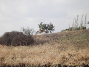 DSCF2919.JPG