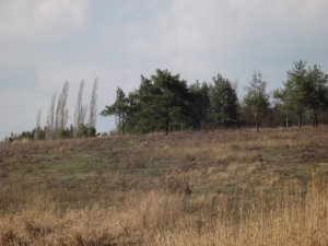 DSCF2920.JPG