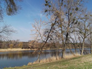 DSCF2940.JPG