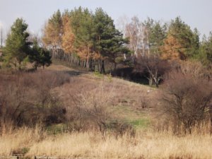 DSCF2946.JPG